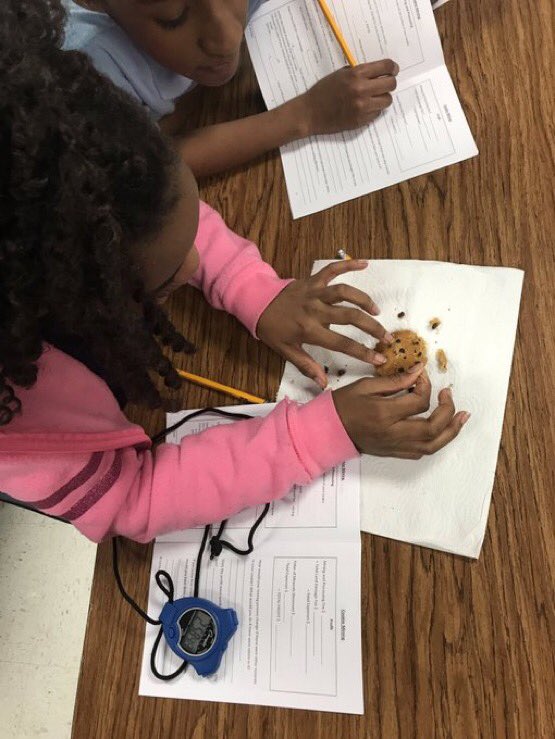 ChambersScience's tweet photo. Chambers Girlstart use a chocolate chip cookie to model the process of coal mining and perform calculations to determine whether or not the worth of the mined coal deposits outweigh the cost to the environment. @girlstart @ChambersCharger @AliefScience @AliefISD #aliefimission https://t.co/y3APNchxEp