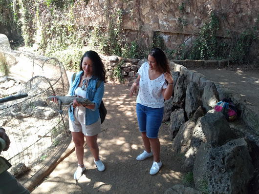 kenyatours01's tweet photo. This is a great place to see crocodiles,ostriches,giraffes & rabbits in Nairobi
#KENYATOURS #MAMBAVILLAGE #HAPPYCLIENTS #EASTERPLANS #EASTERWEEKENDS #EVERYDAYPLANS #WEEKENDS #KENYA #CROCODILE
CALL/WHATSAPP:+254722739549
EMAIL:info@kenyatoursandsafaris.com
https://t.co/YowGOCJ0E8 https://t.co/P7iMkqKWN8