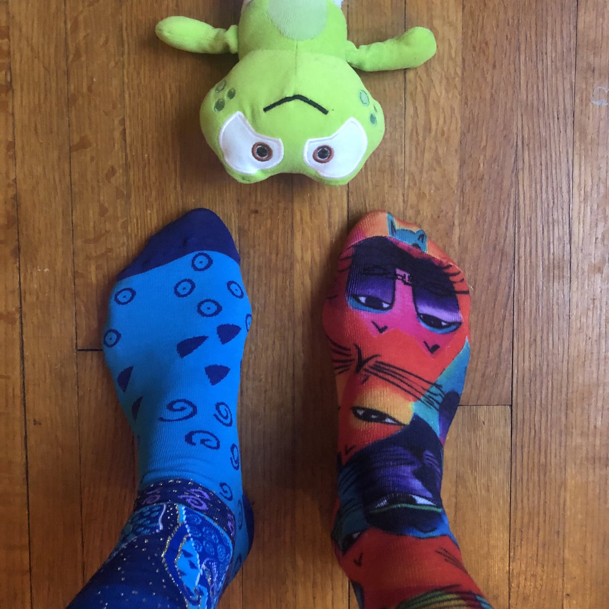 MomcatKelly's tweet image. Rocking my 😺 Socks from @johnscrazysocks for #WDSD 💙🧦💛 #wdsd2019 #morealikethandifferent #awareness #leavenoonebehind #whereishopkins @signing_time #signingtimerocksthesocks