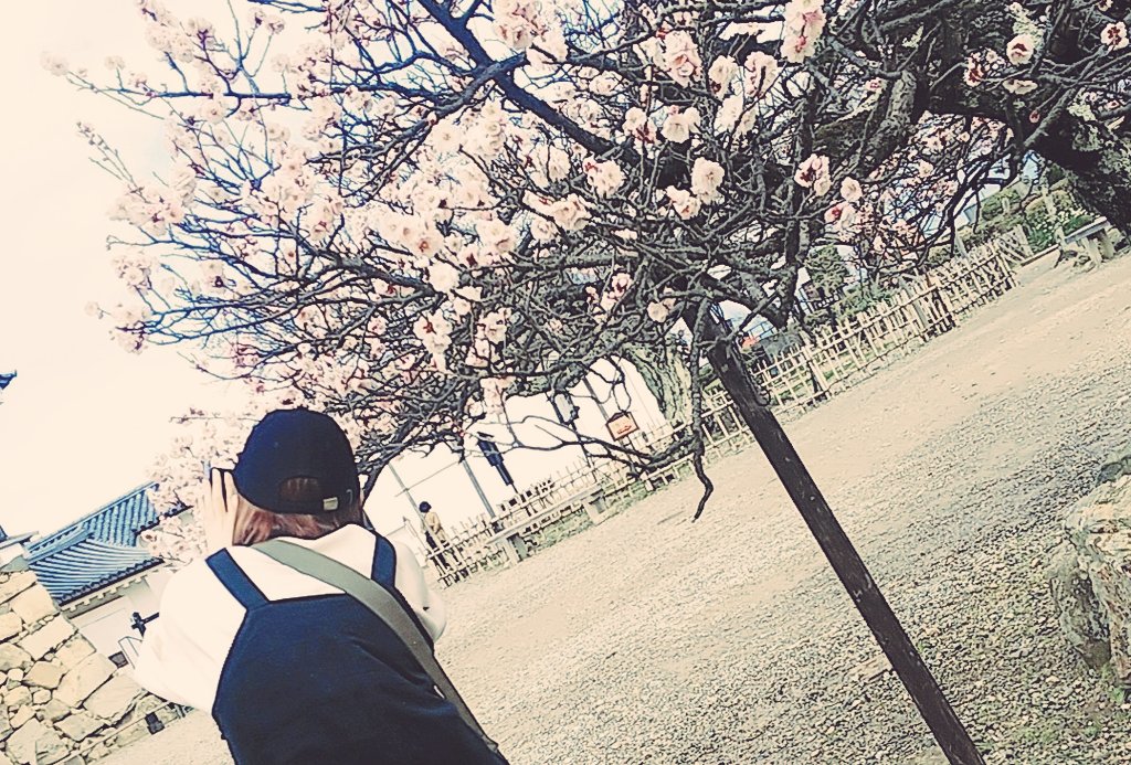 写真撮っているところを撮られていて笑った 
