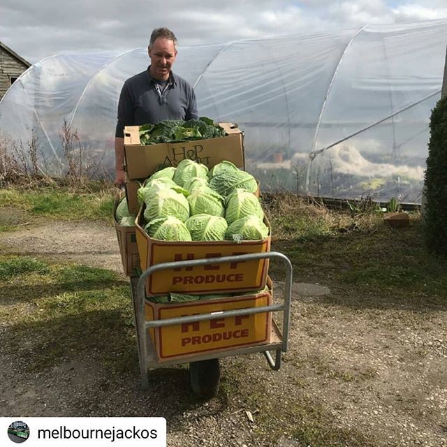 NottsFoodAssemb's tweet photo. Here's Richard of @melbournejackos hard at work harvesting crops.
See you tonight for the weekly @neighbourfoodnotts Collection. We deliver now too. Within a 4 mile radius of @weareprimary 
www https://t.co/JB7mzulsJf shop opens again tonight!
#shoplocal #farmtofo… https://t.co/ud4xhMBFk6