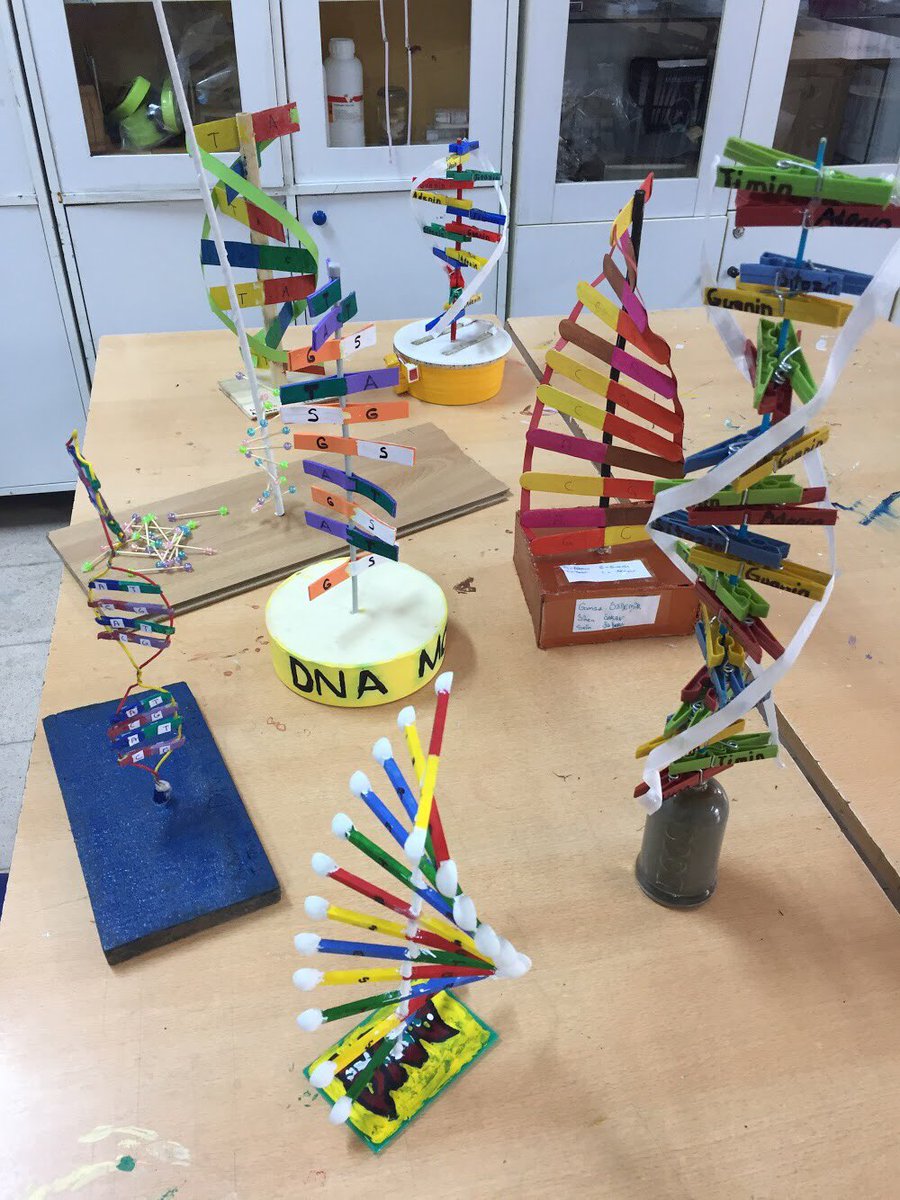 BademliStem's tweet photo. DNA 🧬
#stem #stemforkids #stemandmakers #stemeducation #maker #eğitim #bilim #fen #teknoloji #mühendislik #matematik #sanat #bilişim #3Dprinting #3ddesign @XYZprinting https://t.co/wWpYtilkSB