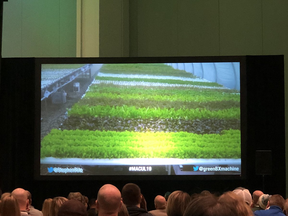 Dawn Schiavone tweet media