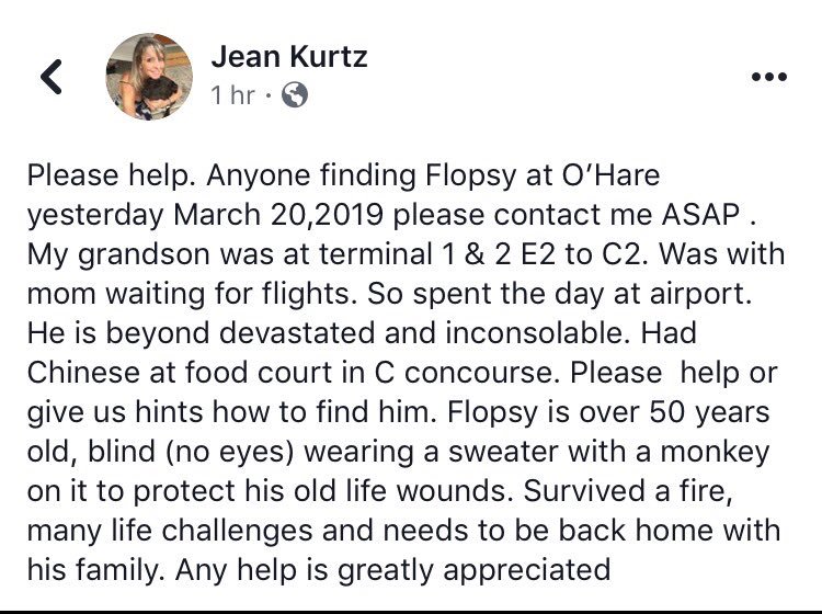 LizzysLashes's tweet photo. Hey @united! 👋🏼 I'm sharing this from FB... for Jean Kurtz &amp; her grandson.  Can anyone at ORD help find Flopsy? @weareunited Be on the lookout 👀🐰#findflopsy @Frankie_thecook @811Mimi118 https://t.co/57vgqUFaSe