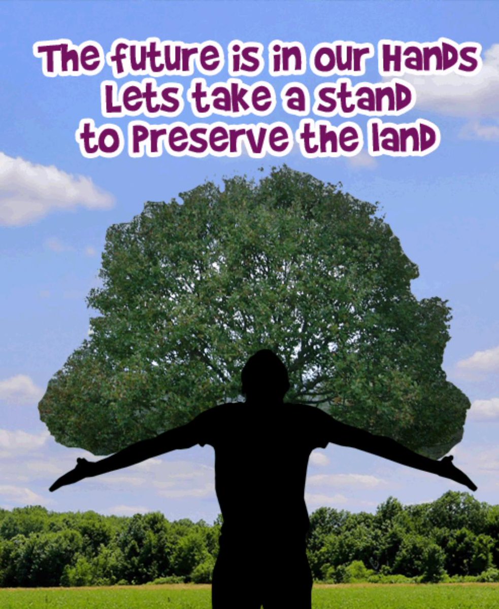PeaceTrees1's tweet photo. #Savetrees #Peacetrees #Holi2019 #Happyholi2019 #heartfulness https://t.co/pIcYLTrBX1
