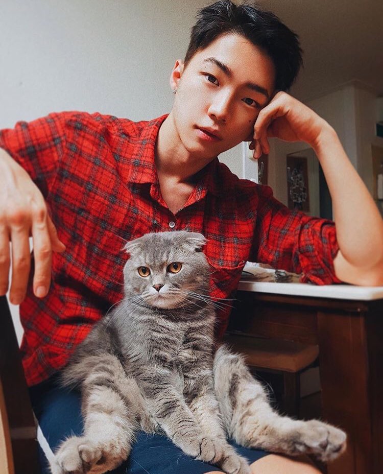 ♡ 𝙫𝙚𝙣𝙞𝙩𝙖 ʲ ᵐ ✿ tweet media