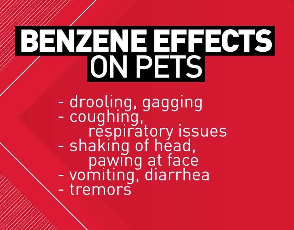 Please RT: As events in #DeerPark &amp; the surrounding areas continue to develop we are asking our followers to spread the word that pets should NOT be left outdoors during “shelter in place” warnings. Please  bring your pets indoors &amp; watch them for signs of chemical exposure.