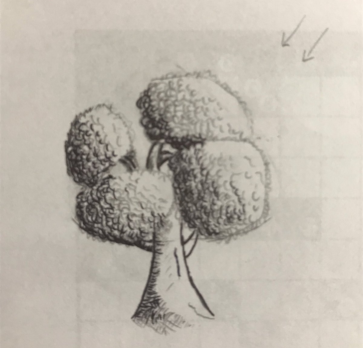 32Junon's tweet photo. 初めて木を描いてみた🌳
絵本を書いてみようかな😅
#絵本 https://t.co/oMRKuMUndf
