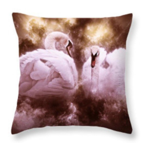 RachelMaytumArt's tweet photo. Swans Art and Flanery Art Prints and products available via my website...
https://t.co/Xqvq7aj4CO
#seanpatrickflanery #swans #RMDesigns https://t.co/PN1wrlKqcB