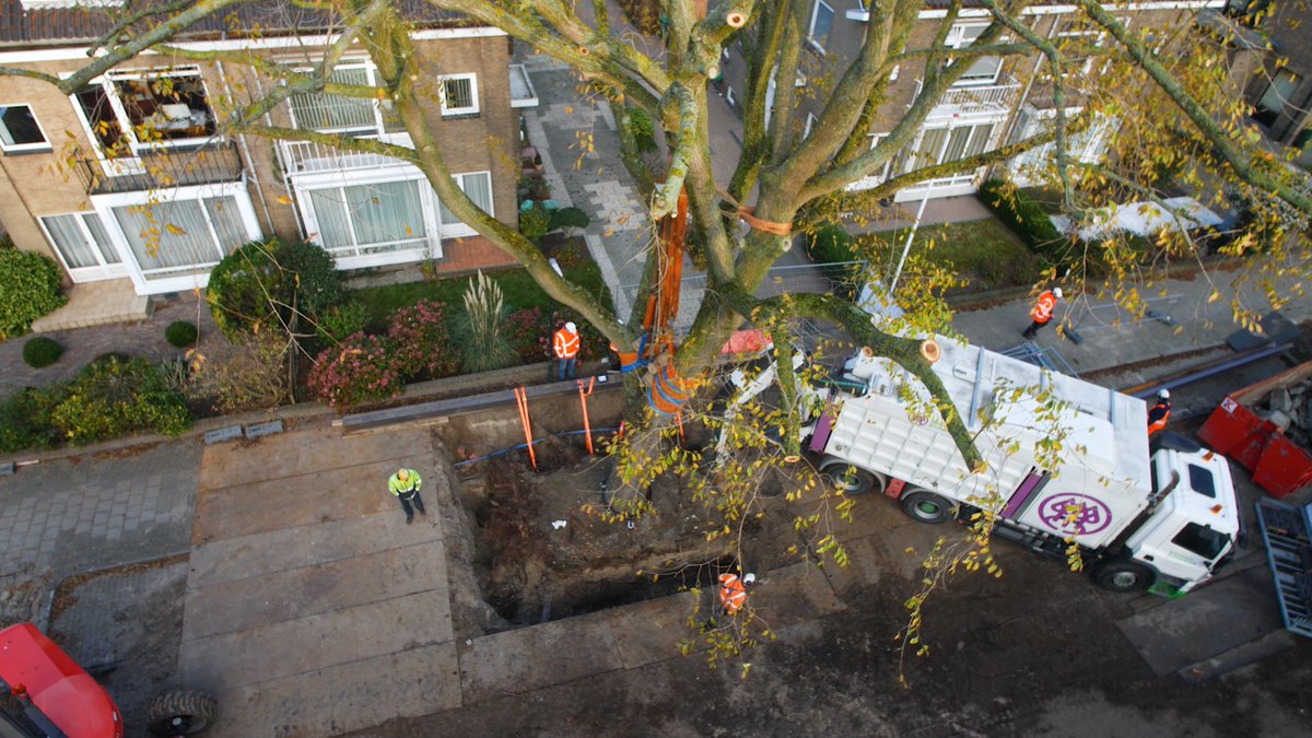 CueCreative_NL's tweet photo. Zie je door de bomen het bos niet meer? Het was gisteren Nationale Boomfeestdag, dus dat komt dan goed uit: https://t.co/kkXYZXGZuA https://t.co/zFu5ptrC8O