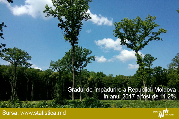 statisticamd's tweet photo. Today is  #InternationalDayOfForests 🌲🌳🌲
11,2% of  Moldova's land is covered by forests.
More data about #forests in #Moldova are available in the publication „Natural resources and environment in Republic of Moldova” https://t.co/5URRAj4nbX https://t.co/fa965EFT7l