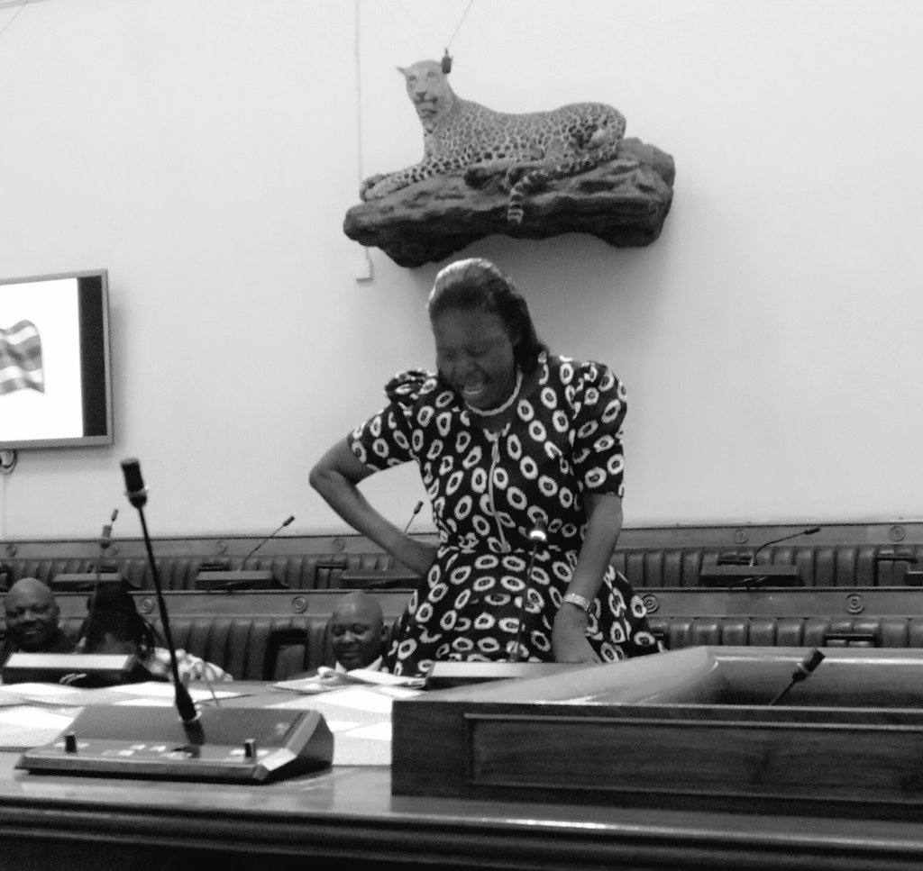 ZESN1's tweet photo. Hon Shirichena argues that the number of representatives for persons with disability should be increased from two to ten #TimeToReform @DeafZimTrust @ElectionRoom @nascohzw @WCOZIMBABWE @EFZZIMBABWE #ElectoralPetition https://t.co/rJqTgG38k9