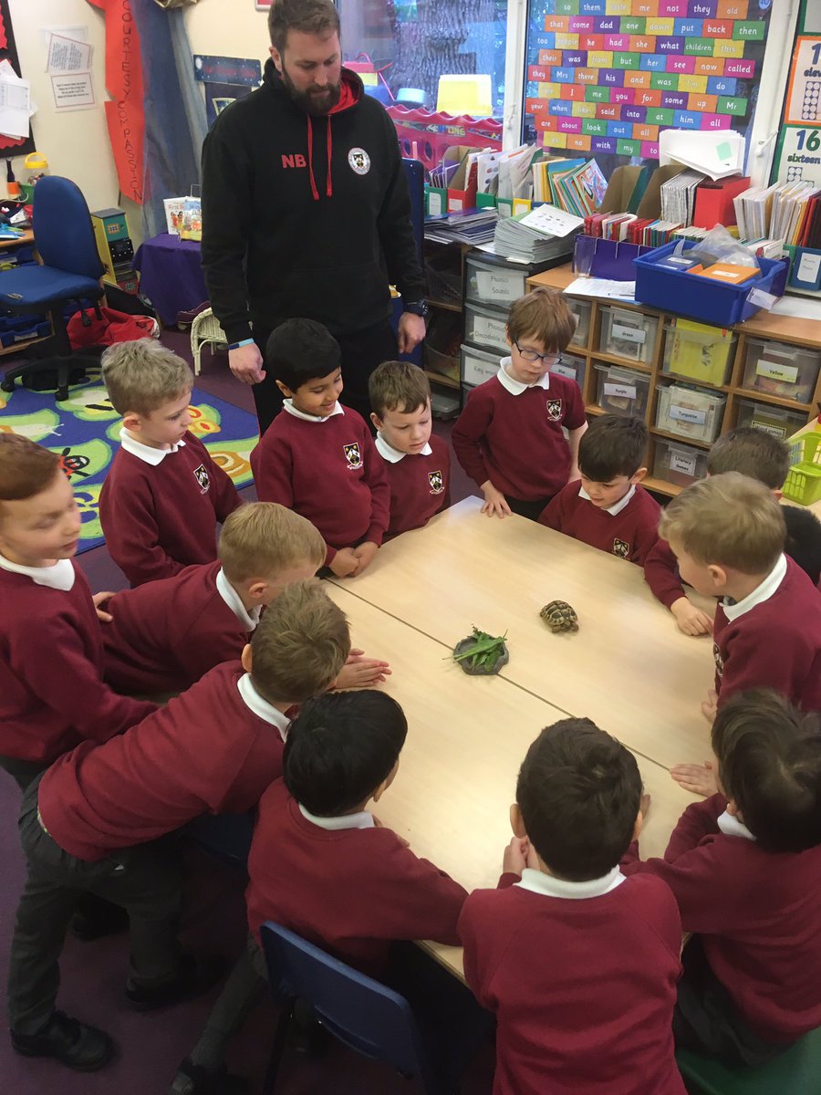 StColumbasLPrep's tweet photo. #SCCPrep1 are learning about what Titus the tortoise needs. He loves dandelion leaves #SCCCompassion https://t.co/YGQG9IX9oU