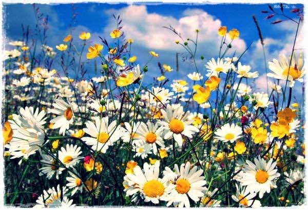 Resmi Twitter'da görüntüle