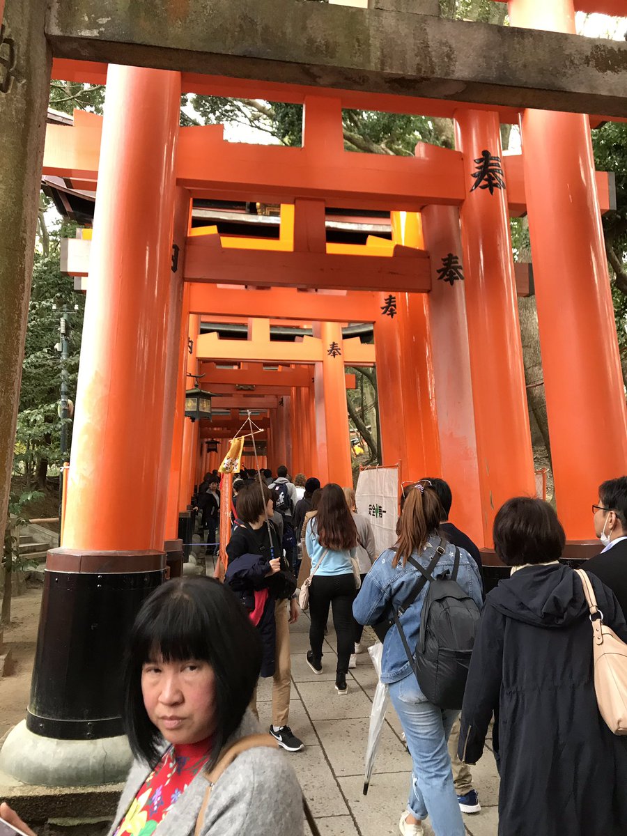 LJapan2019's tweet photo. Inari shrine. So many Tori gates! https://t.co/322xPx8Wx0