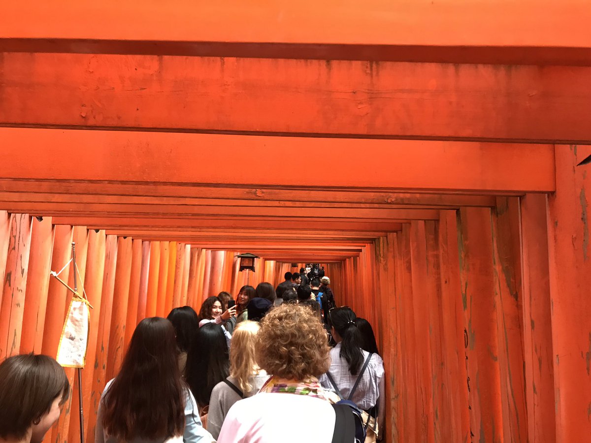 LJapan2019's tweet photo. Inari shrine. So many Tori gates! https://t.co/322xPx8Wx0