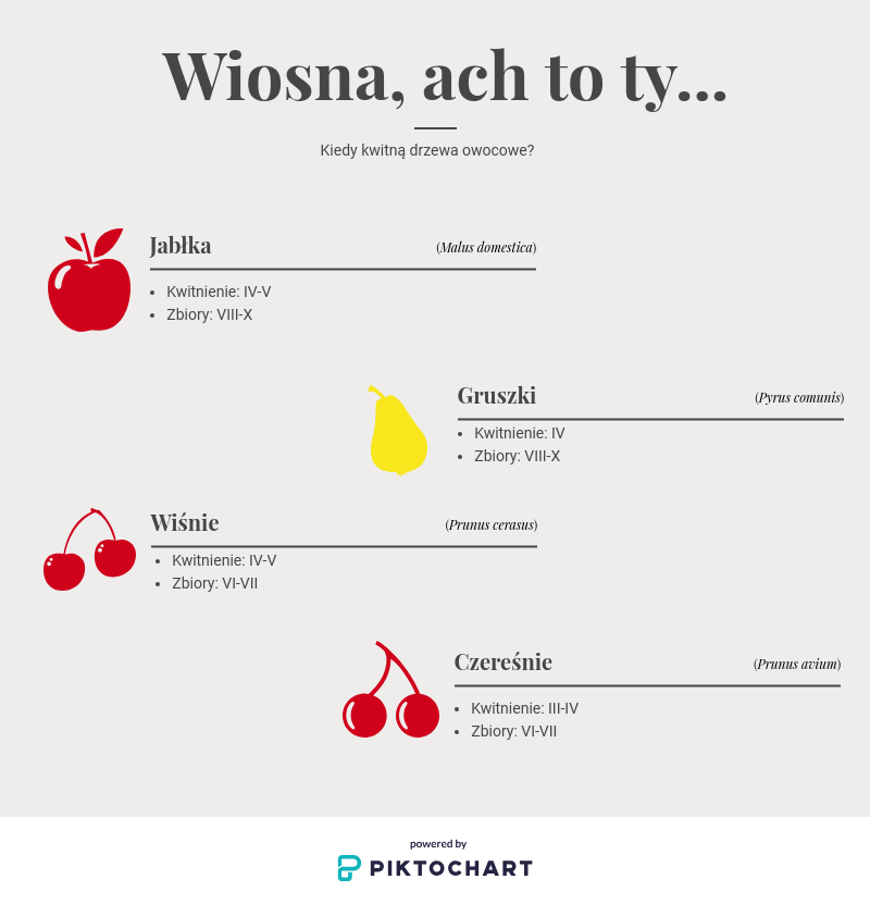 kups_official's tweet photo. Dzisiaj pierwszy dzień wiosny. Niedługo polskie sady rozkwitną. Owoce to nasz skarb narodowy. Wagarowiczom przypominamy, więc kiedy można spodziewać się kwiatów na drzewach. 🍎🍐🍒 #jabłka #gruszki #czereśnie #wiśnie https://t.co/XSocFy0wkO