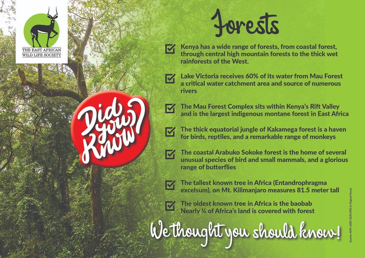 As we mark #InternationalDayOfForests, did you know Kenya is privileged to have a wide range of forests, from coastal forest, through central high mountain forests to the thick wet rainforests of the West?