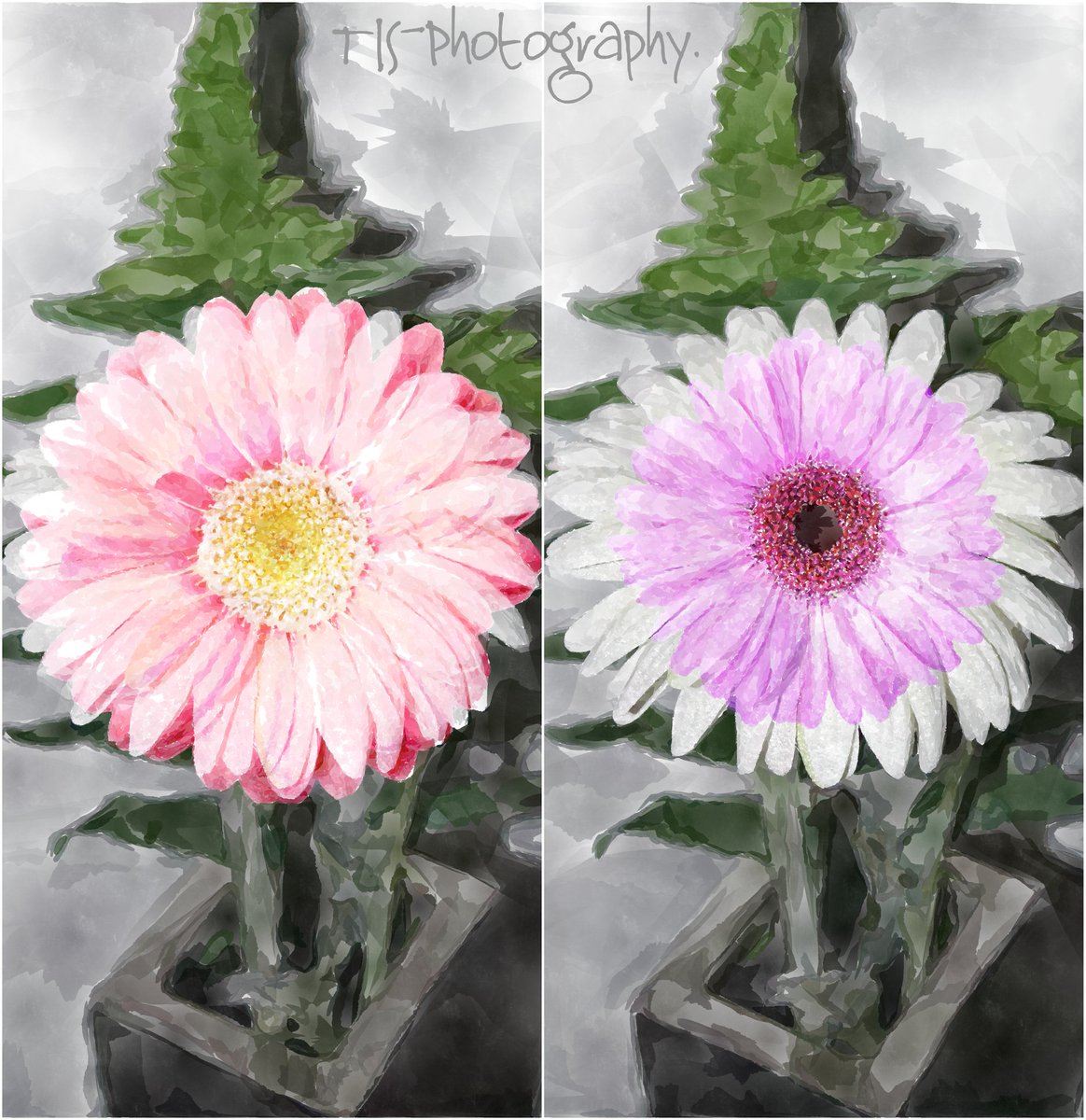 TinaJellyBean's tweet photo. Collage 1 of 2,based on #flower in #vase.
Photo property of,#TJSPhotography
#nature #watercolor #artist #weekend #interiordesign #decor #home #travels #blogger #rustic #farm #cabin #shabbychic #wellness #earth #aesthetic #architecture #weather #officiant #structure #enviornment https://t.co/6CtYO9D6f6