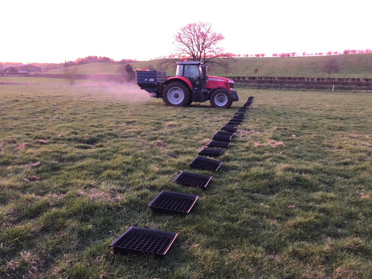 TheSpreaderGuys's tweet photo. What a beauty! Trays for dayssss 👌💚#spreader #traytest #dontguessusescs #KRM #MasseyFerguson #tractor #farming https://t.co/NRJZOw2yGD