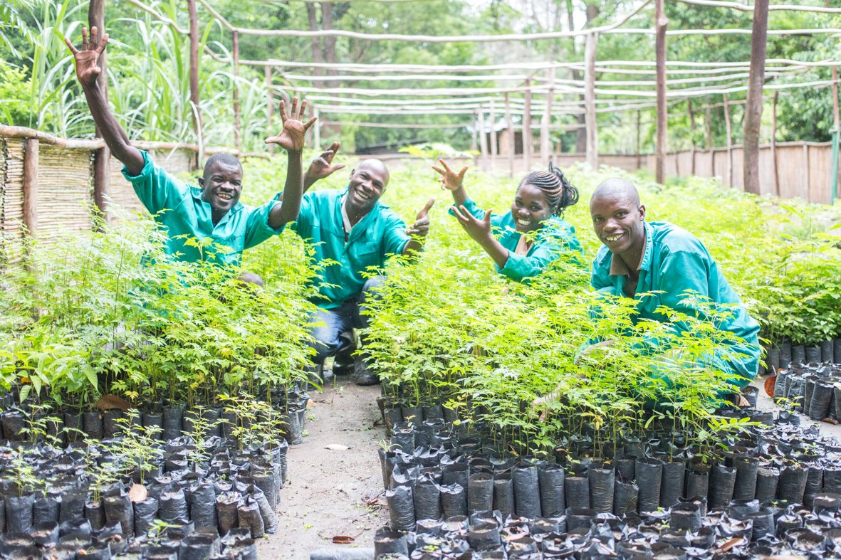 CAWSMW's tweet photo. Happy World Forestry Day! You can contribute to the environment by purchasing a number of trees from Root to Fruit today #roottofruit #worldforestryday #environmentalconservation #timetoplant #sustainability
Credits: Juliet Lemon https://t.co/tRs7pWdOLQ