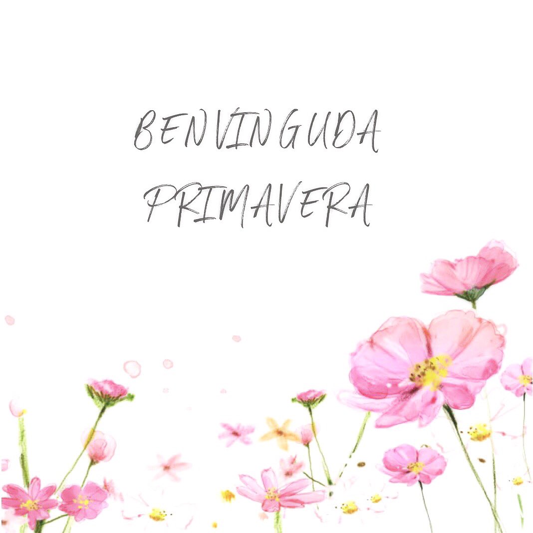 muntasell's tweet photo. Ja la tenim aquí!!!🌺🌸🌹💐🌷🌻
.
#primavera #bontemps #muntasellassociats https://t.co/JOqTuAO3gj