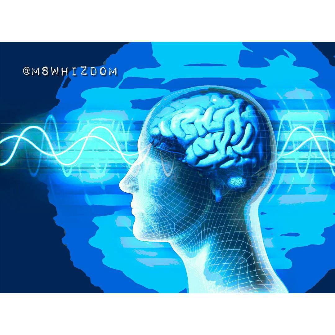 Ms Whizdom 👽♒👽 tweet media