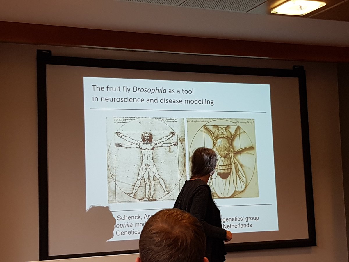 DondersSessions's tweet photo. Why would we would study fruit fly models to study mechanisms of human diseases and disorders? Annette Schenck explains advantages, applications, and what we can learn. #MethodsMarket https://t.co/6H9ZqKHefx