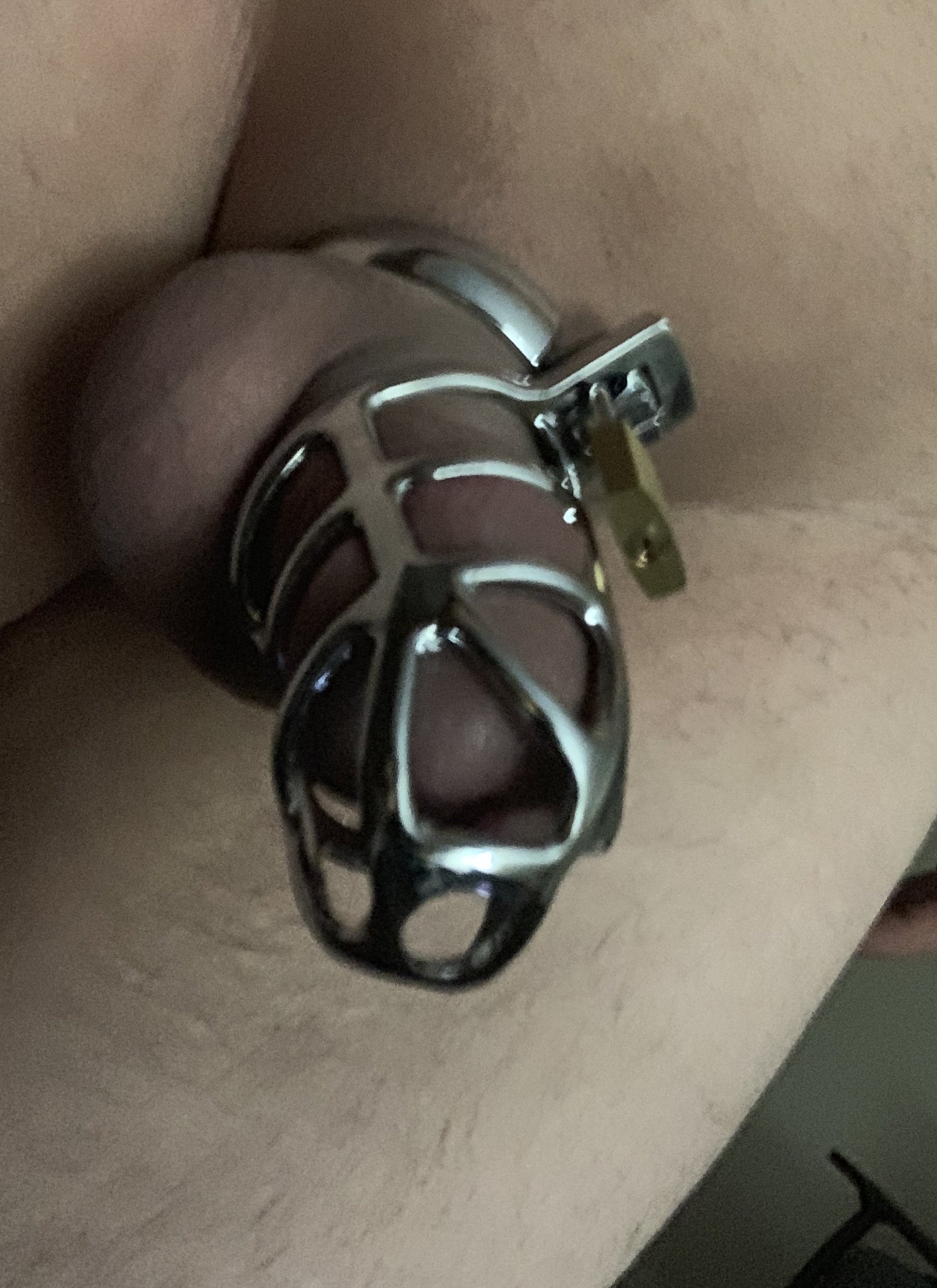 1 pic. New Metal Male Chastity lock.... It definitely does the job #Femdom #NSFW #SubmissiveMale #nakedmales