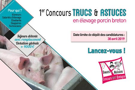 msa_armorique's tweet photo. Il vous reste 1 mois pour candidater au #Concours porcin organisé par @ChambagriBzh (partenariat #MSA #Armorique) ! 
Présentez-nous vos trucs &amp; astuces et tentez de gagner notamment un séjour détente d'une valeur de 1 000 €. 

Lancez-vous !

Plus d'info : https://t.co/CAnp1pTjd0 https://t.co/Dmqq8nza31