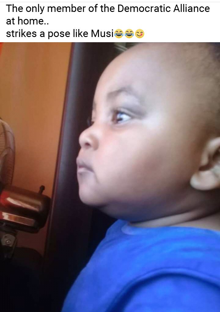 LucyKucy19's tweet photo. 😂my nephew😂✊

@MmusiMaimane 
@Our_DA https://t.co/r6eDredR2e
