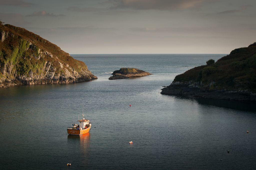 Wild Atlantic Way tweet media