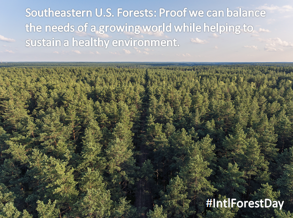 pellets4energy's tweet photo. As we recognize the importance of forests today globally, we celebrate the example of Southeastern U.S. forests – among the most sustainable and productive in the world. 

#IntlForestDay #ForestProud https://t.co/TrownQ5CX5