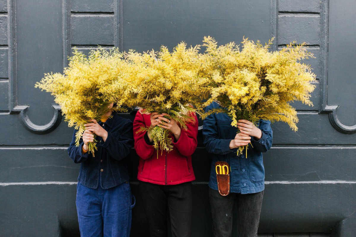 Sideshow Bob says “ happy first day of Spring! “