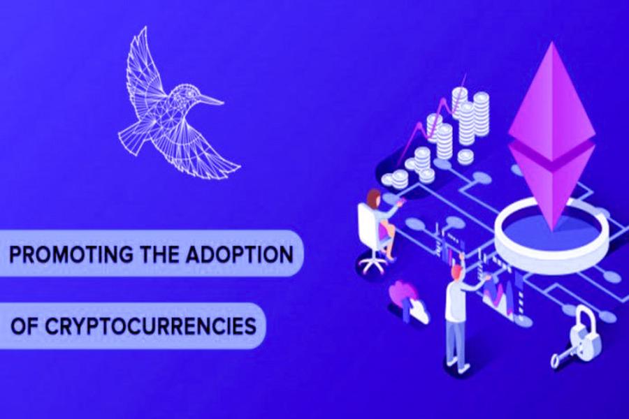 Shani47804097's tweet photo. @CoinAlcedo 
#Alcedo will be the top trend in the near future as it's going to be a mass adoption for #cryptocurrency.#lover #adoptor #blockchain https://t.co/SFkf41vFaW