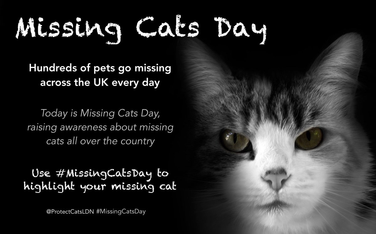 As part of #PetTheftAwarenessWeek today is about raising awareness of all those missing cats across the UK who need to find their way home. Use #MissingCatsDay to highlight missing cats & pls share as many as you can #AdoptDontShop #ScanMe #PetTheftPetition #PetsAreFamily #Cats