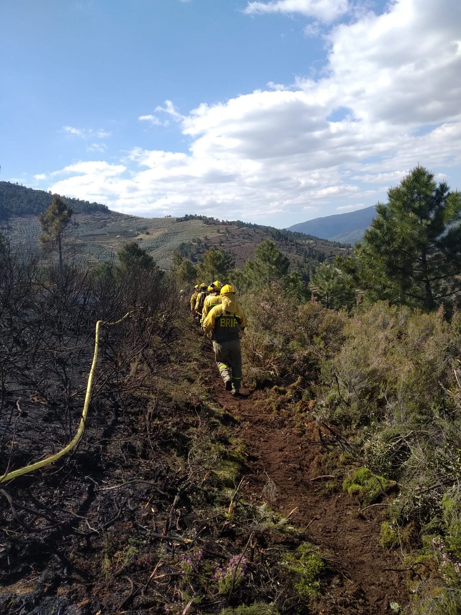 AT_Brif's tweet photo. 14:53 📸📸 de @BrifPINO que se encuentran trabajando en el incendio forestal de #Azabal junto a medios de @PLANINFOEX #BRIF -i #IIFF #BBFF ánimo https://t.co/pzzaaB1ix5