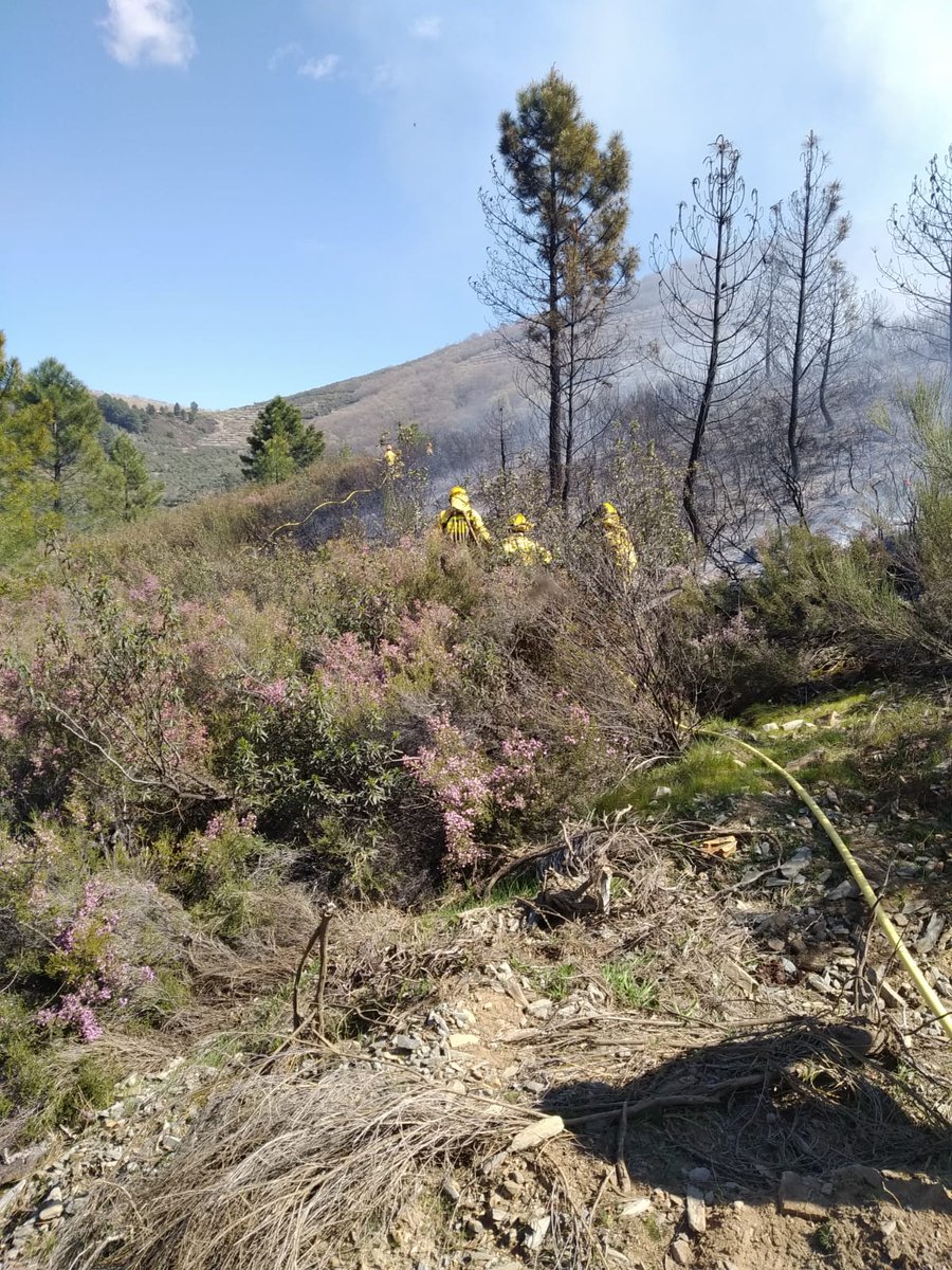 AT_Brif's tweet photo. 14:53 📸📸 de @BrifPINO que se encuentran trabajando en el incendio forestal de #Azabal junto a medios de @PLANINFOEX #BRIF -i #IIFF #BBFF ánimo https://t.co/pzzaaB1ix5