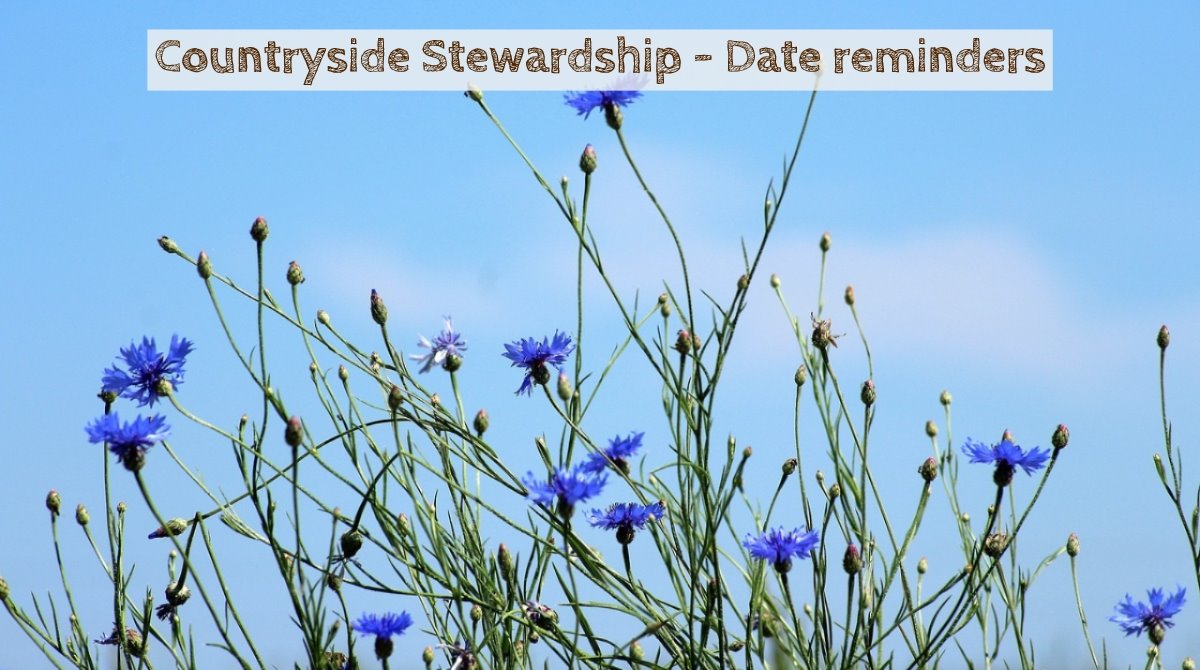MouleandCo's tweet photo. 🌻Higher-Tier-Pack deadline 31st March. 🌿Hedgerows &amp; Boundaries-Deadline 3rd May. 🌸Mid-Tier&amp;Wildlife Offers-Pack deadline 31st May. 🍄1st January 2019 schemes-1st annual claim is due 15th May 2019. 🌱GS2 option- a soil sample should be submitted. For more help call 01299 250184 https://t.co/uY4eI5rPaw