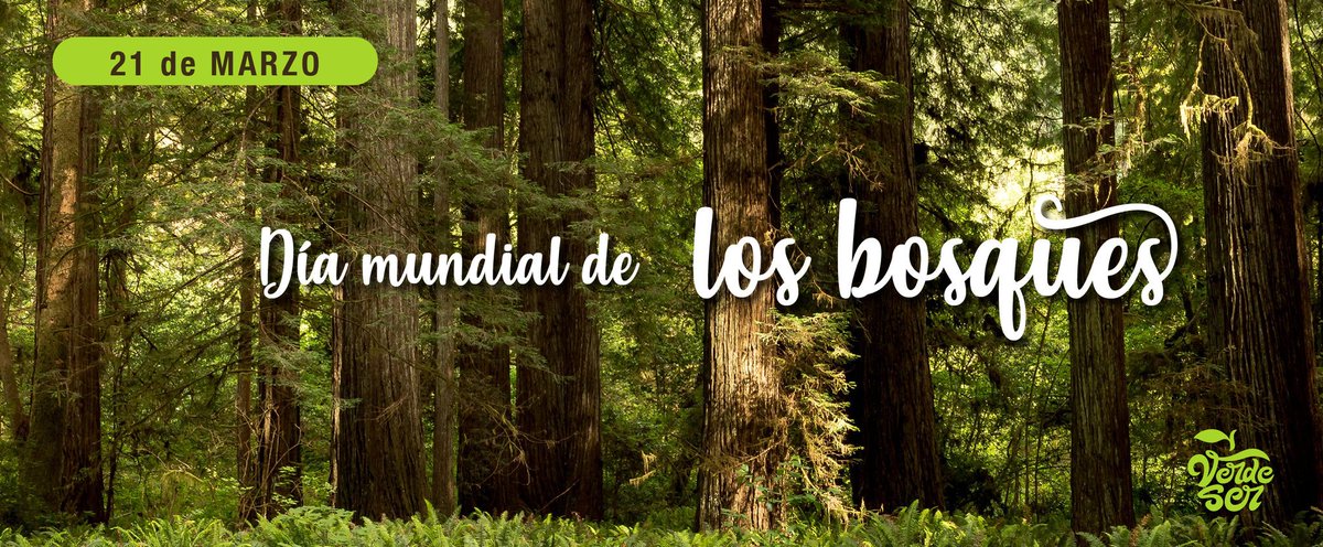 verdeserok's tweet photo. 🌳🌲 Cuidemos de ellos 🌳🌲
#VerdeSer #TuTiendaNatural #diamundialdelosbosques #picoftheday #naturaleza #nature #reciclar #cuidar #bosques #arbol https://t.co/rNsOKLu32u