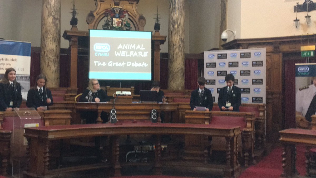 DebateYgg's tweet image. #RSPCAGD19 #DeathCrueltyBloodthirsty
#huntingwithdogs #RSPCA