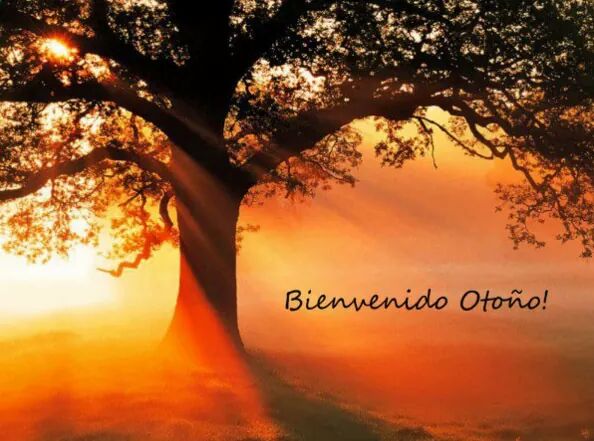 #buenjueves Nunca pierdas ese estilo que te hace única😉
Que sea un maravilloso y bendecido día🤗 con buena música🎶 aquí dale link y escucha 👂en todo el mundo🌏 radiosdeformosa.com/claudinha <a href="/PatoBullrich/">Patricia Bullrich</a> <a href="/ibarr_andres/">Marcelo Andrés Ibarra</a> <a href="/edufeiok/">Eduardo Feinmann</a> <a href="/mauriciomacri/">Mauricio Macri</a>