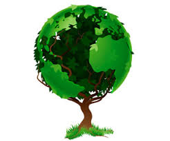 DefinitionTrue's tweet photo. The clearest way into the universe is through a forest wilderness. #InternationalDayOfForests #IntlForestDay https://t.co/3kugK2A4eV