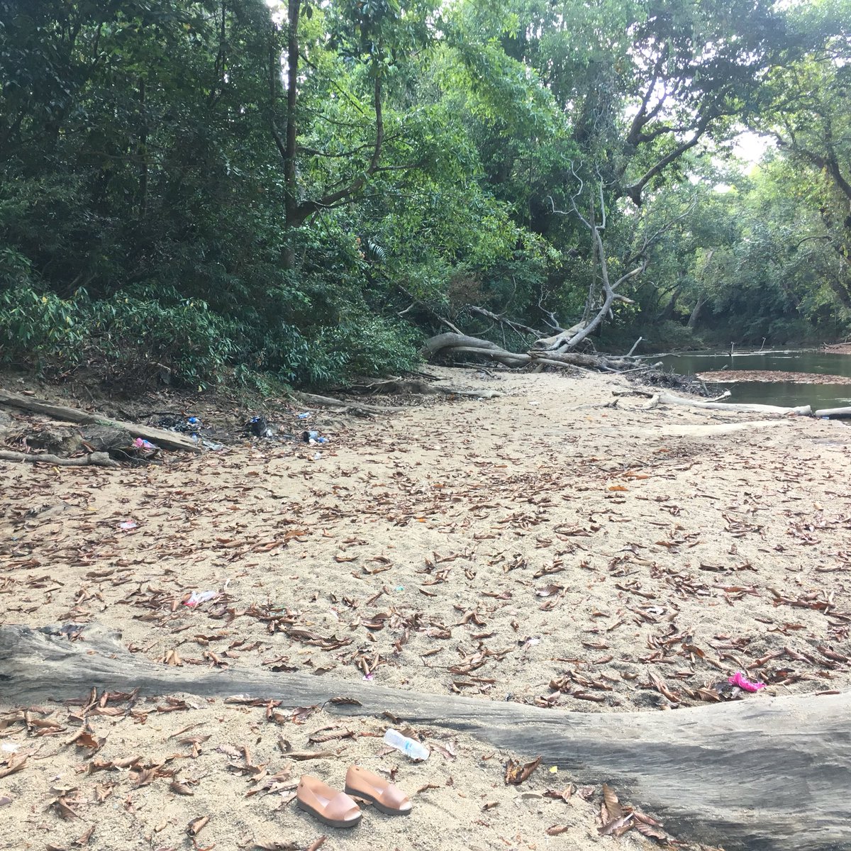 blair_bcw's tweet photo. Before and after. Picking up some trash before dipping in the river. #TrashChallenge #littleamazon @maya_karin https://t.co/rvvIhwEPss