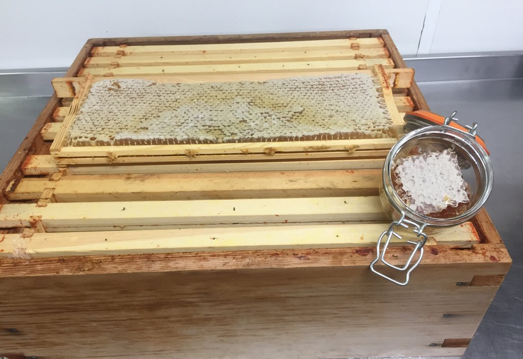 Macreddin's tweet photo. How sweet is this... our own Macreddin Village honey 🍯 from our own beehives #Macreddin #ThisIsIrishFood https://t.co/3I0lG4Ps9n
