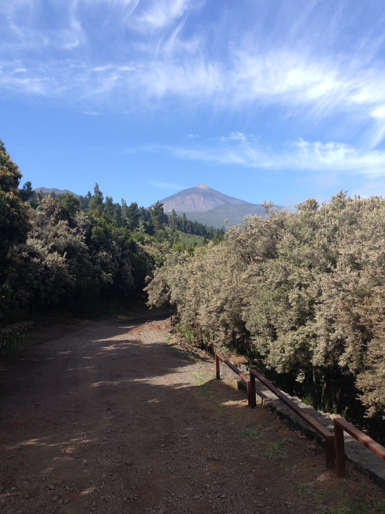 El Teide Tenerife