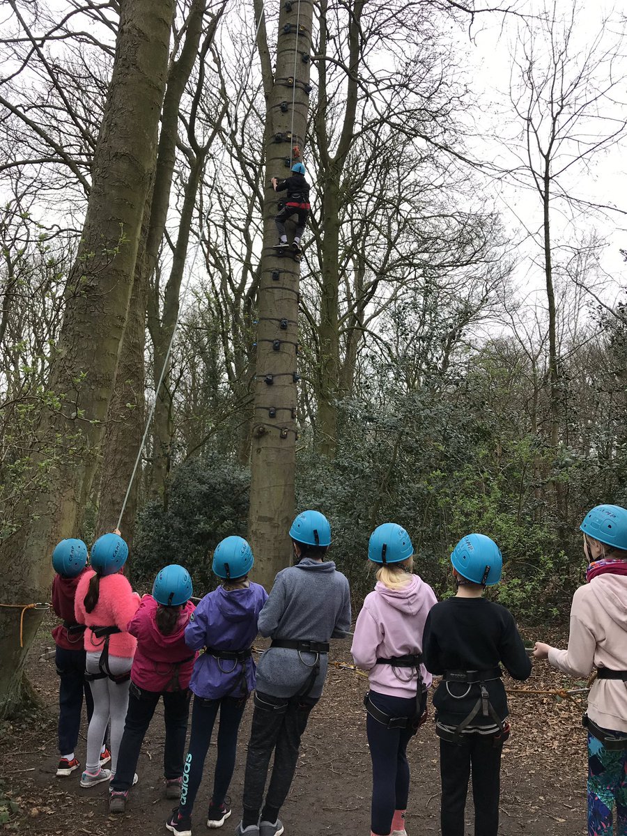 CliffeHouse's tweet photo. Buggy building and monkey tree climb with Upperthong J&amp;I school. @KirkleesCouncil @LearningAway #climbing #climb #teambuild #buggybuild #BrilliantResidentials https://t.co/t1nMq074IH