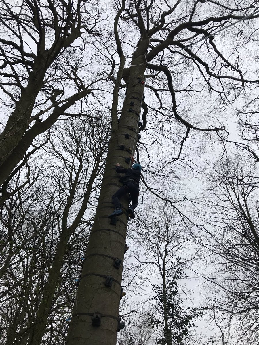 CliffeHouse's tweet photo. Buggy building and monkey tree climb with Upperthong J&amp;I school. @KirkleesCouncil @LearningAway #climbing #climb #teambuild #buggybuild #BrilliantResidentials https://t.co/t1nMq074IH