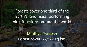 DefinitionTrue's tweet photo. The clearest way into the universe is through a forest wilderness. #InternationalDayOfForests #IntlForestDay https://t.co/3kugK2A4eV