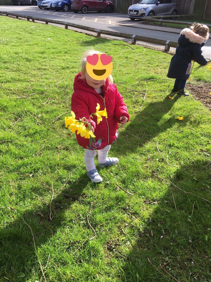 BluebirdsLittle's tweet photo. Picking daffodils for mummy’s and outdoor play https://t.co/dPmPUcKX5q